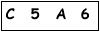 salt-4874DDC8
