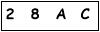 salt-6B496953