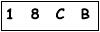 salt-709E6361