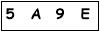salt-968EC04B