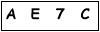 salt-392FD1C9