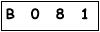 salt-271F3466