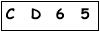 salt-ED7C4565